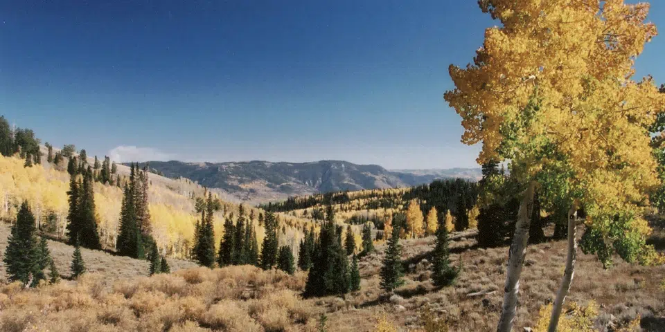 Logan Canyon Scenic Byway | I-80 Exit Guide