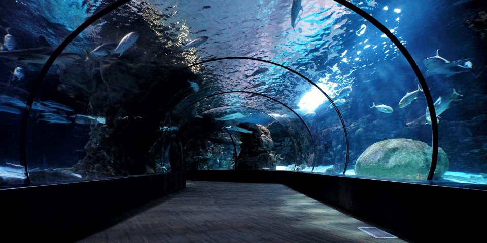 Omaha's Henry Doorly Zoo and Aquarium - Omaha, NE 1 Omaha's Henry Doorly Zoo and Aquarium | I-80 Exit Guide