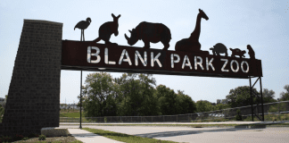 Blank Park Zoo | I-80 Exit Guide