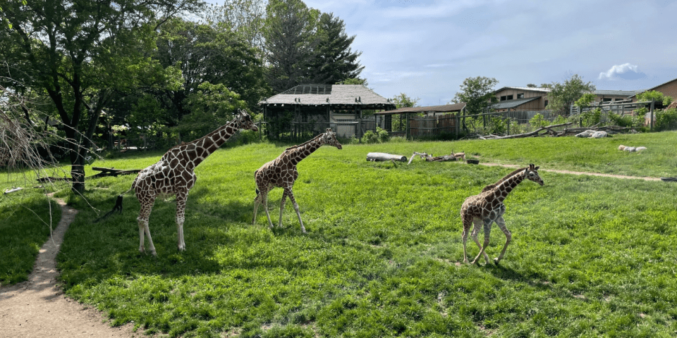 Blank Park Zoo - Des Moines, IA 2 Blank Park Zoo | I-80 Exit Guide