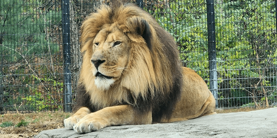 Blank Park Zoo - Des Moines, IA 1 Blank Park Zoo | I-80 Exit Guide