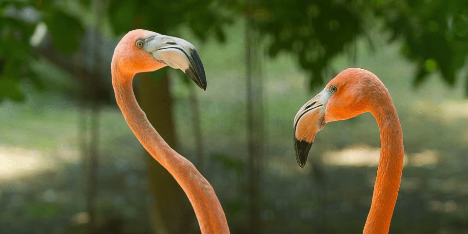 Lincoln Children's Zoo - Lincoln, NE 2 Lincoln Children's Zoo | Photo Credit: Visit Nebraska