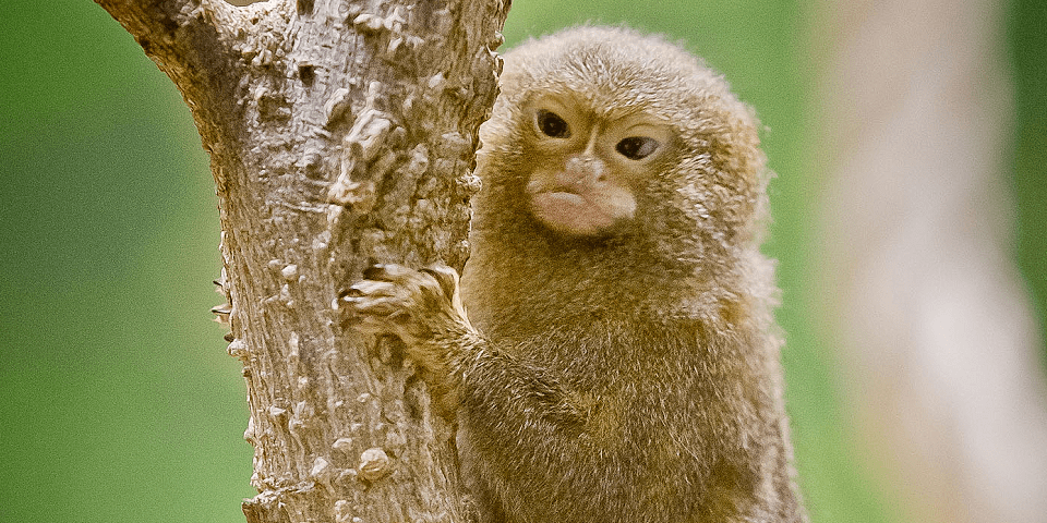 Lincoln Children's Zoo - Lincoln, NE 4 Lincoln Children's Zoo | Photo Credit: Visit Nebraska