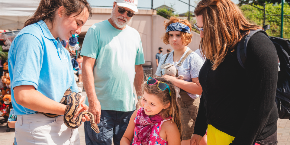 Toledo Zoo and Aquarium - Toledo, OH 5 Educational Programs | I-80 Exit Guide | Photo Credit: The Toledo Zoo