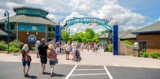 The Toledo Zoo | I-80 Exit Guide | Photo Credit: The Toledo Zoo