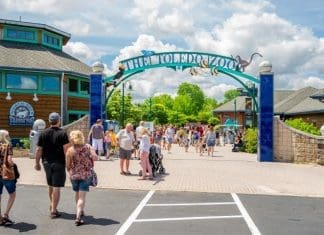 The Toledo Zoo | I-80 Exit Guide | Photo Credit: The Toledo Zoo