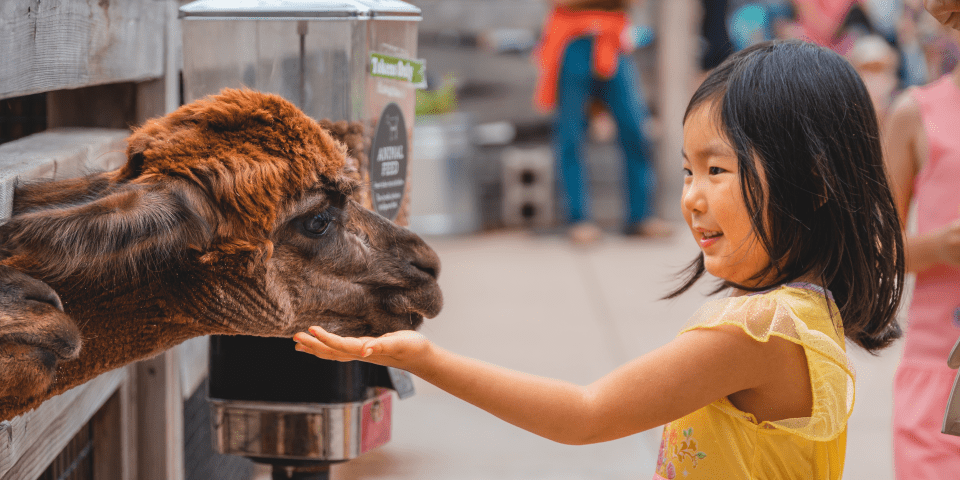Toledo Zoo and Aquarium - Toledo, OH 6 Barnyard Feeding Experience | I-80 Exit Guide | Photo Credit: The Toledo Zoo