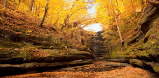 Matthiessen State Park | Photo Credit: Illinois Office of Tourism