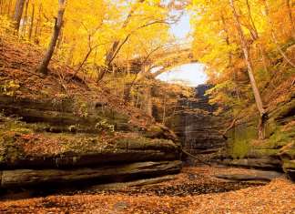 Matthiessen State Park – Oglesby, IL Matthiessen State Park | Photo Credit: Illinois Office of Tourism